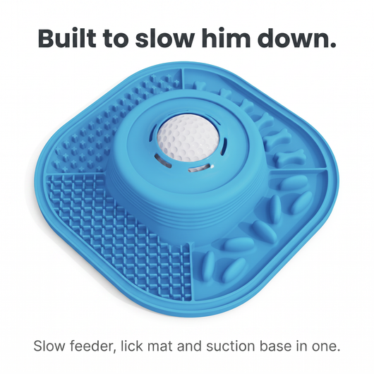 Lick & Stick™ SlowMat