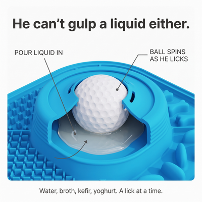 Lick & Stick™ SlowMat