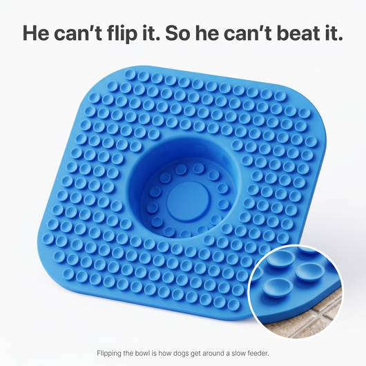 Lick & Stick™ SlowMat